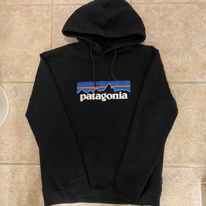 Patagonia Uprisal Fitz Roy Hoodie